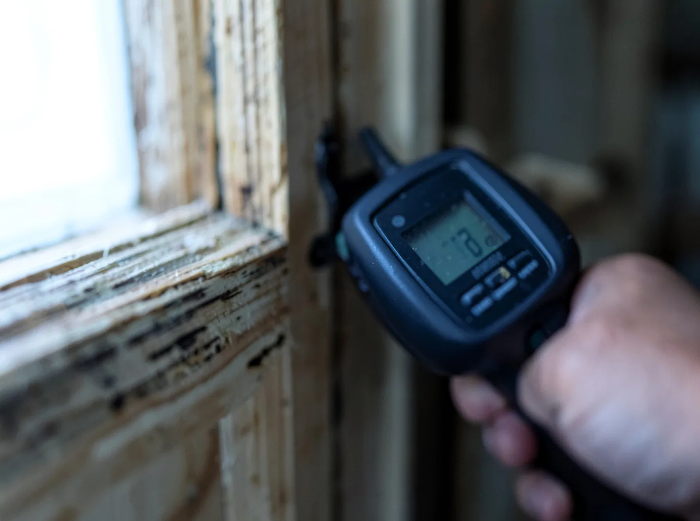Moisture Inspection And Documentation in Townville, PA